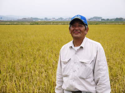 無農薬で育てた『雑穀米』『発芽玄米』大好評販売中！令和5年のお米は花が終わり頭を垂れ始めています！_a0254656_18454401.jpg
