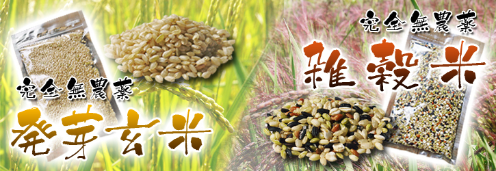 無農薬栽培の『雑穀米』『発芽玄米』大好評販売中！命みなぎる美味しいお米に元気な花が咲きました(2021)_a0254656_19273786.jpg