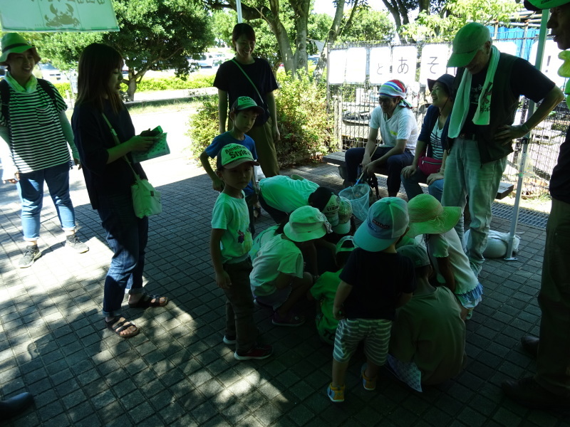 「カニカニウオッチング」in「「第5回せんなん里海さくらフェス」_c0108460_21263932.jpg