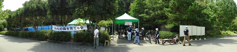 「カニカニウオッチング」in「「第5回せんなん里海さくらフェス」_c0108460_21264399.jpg