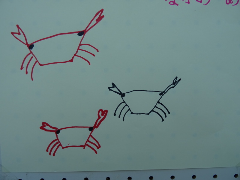 「カニカニウオッチング」in「「第5回せんなん里海さくらフェス」_c0108460_21464197.jpg
