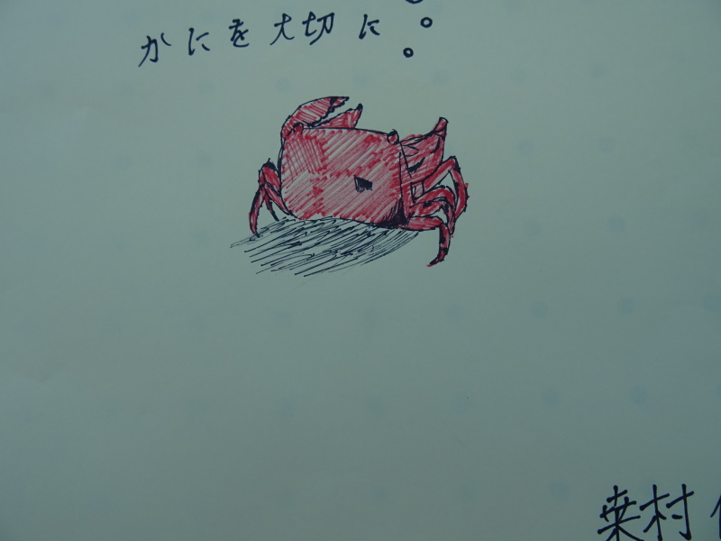 「カニカニウオッチング」in「「第5回せんなん里海さくらフェス」_c0108460_21464352.jpg