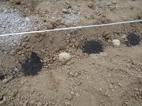 b0273864_1575234.jpg
