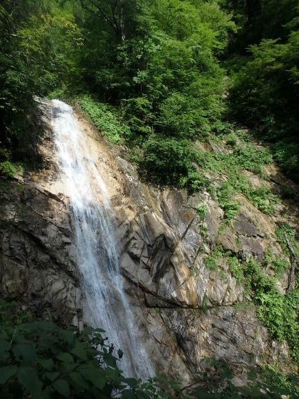 b0050067_14294282.jpg