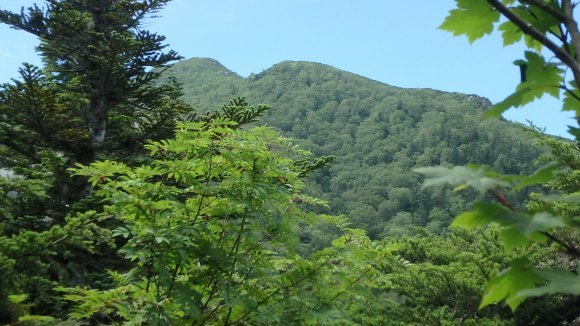 b0050067_14422496.jpg
