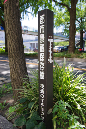 b0309167_07481894.jpg