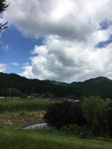 f0363168_15111035.jpg
