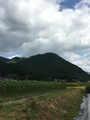 f0363168_15114329.jpg