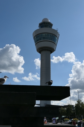 d0193569_11420045.jpg