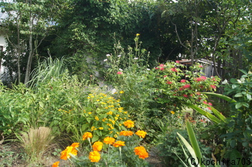 e0181373_21035355.jpg