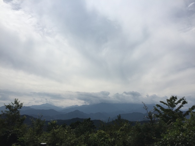 ねね子と高尾山  登り編_e0268075_15230829.jpg