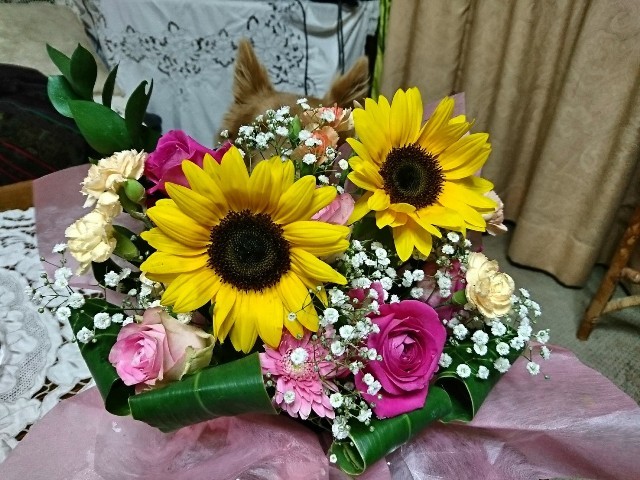 d0183577_14225360.jpg