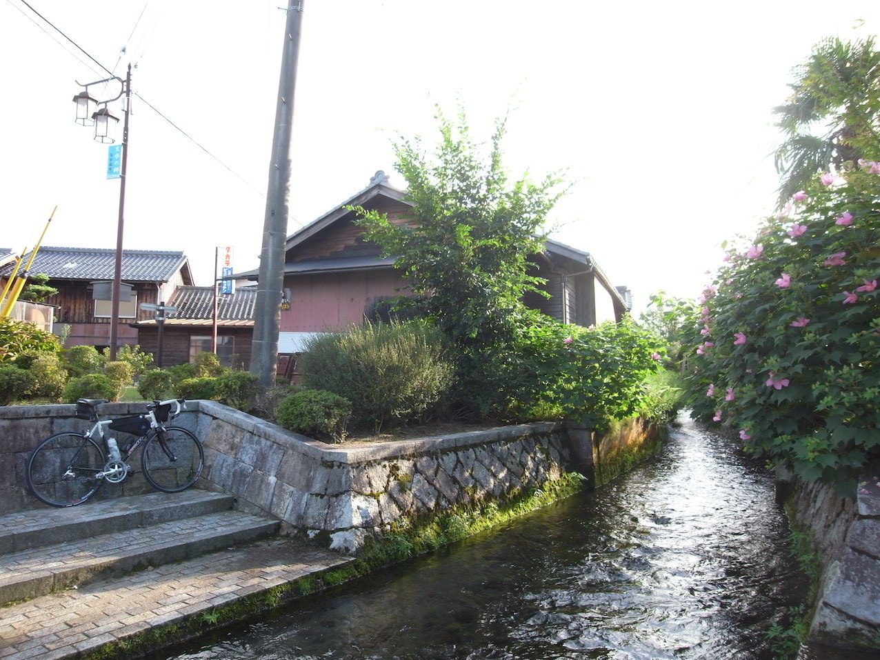 b0087187_20312458.jpg