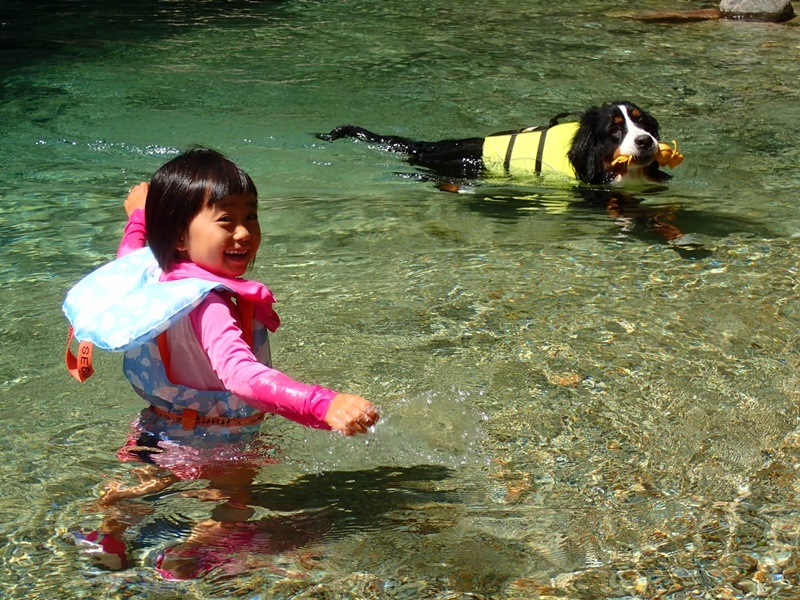 子供と犬の川遊び_b0158390_16561146.jpg