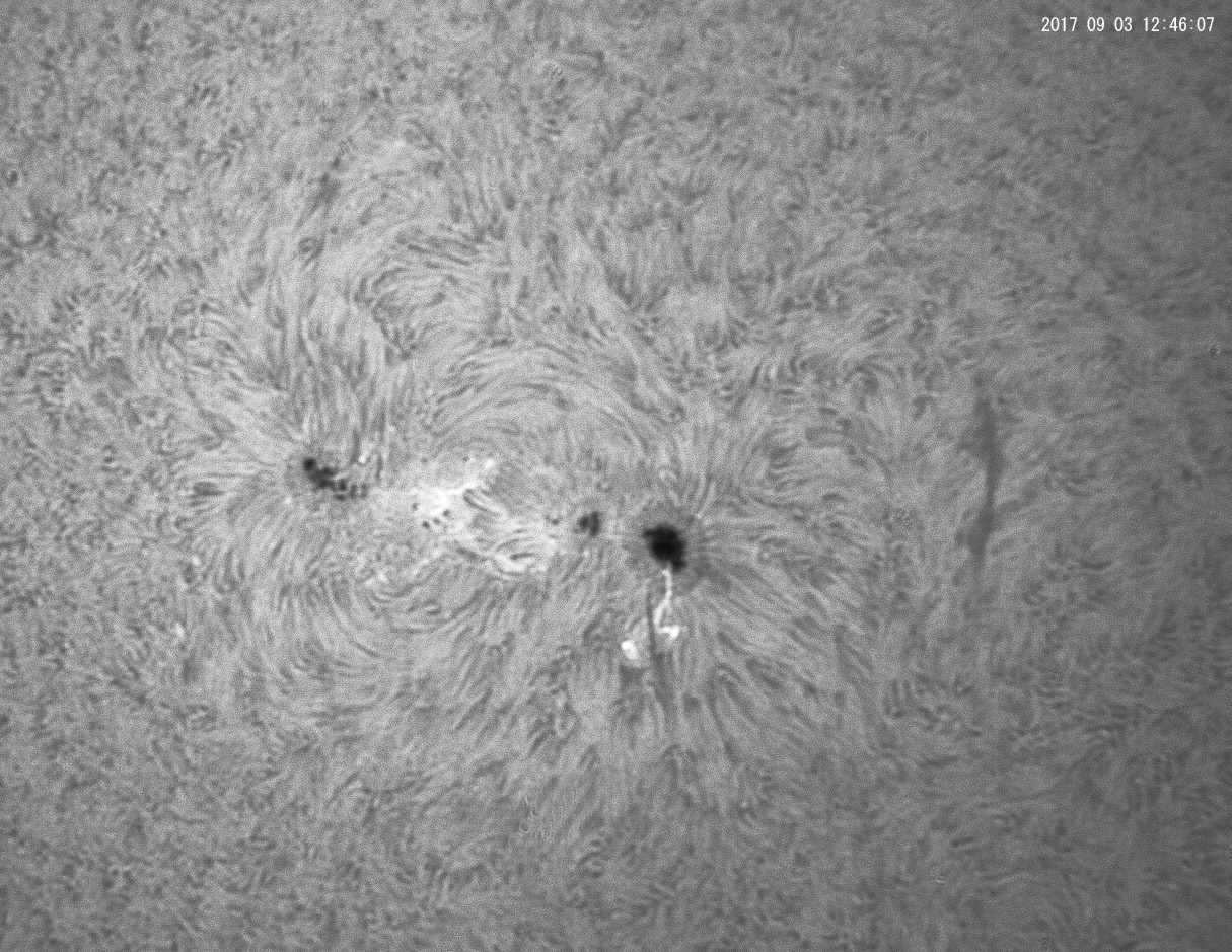 9月3日の太陽_e0174091_15360103.jpg