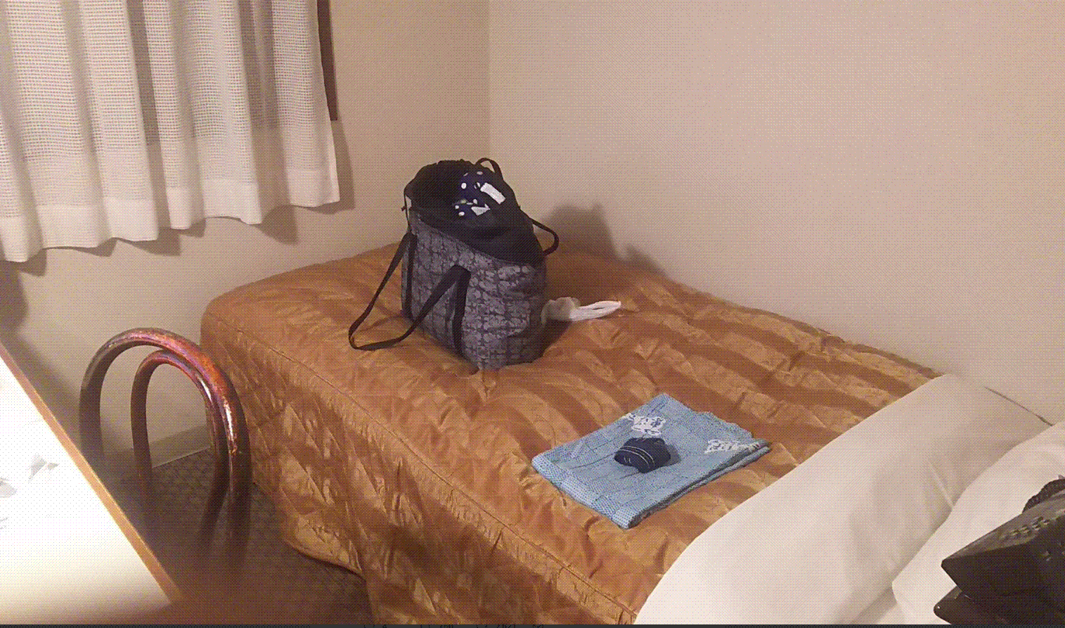 e0199691_01334441.gif