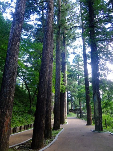 ポーラ美術館と箱根関所を見て、箱根恩賜公園と旧街道杉並木を歩く_f0100593_16590468.jpg