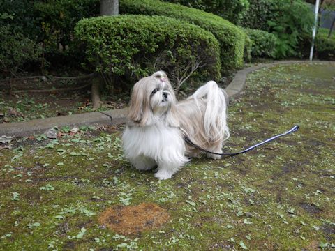 c0090198_20341010.jpg