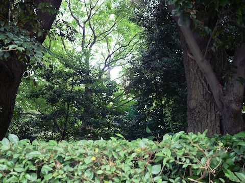 c0090198_20442264.jpg