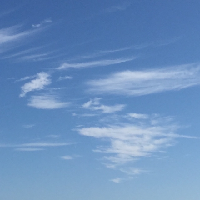 e0303598_09011219.jpg