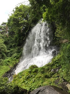 d0355200_08512811.jpg
