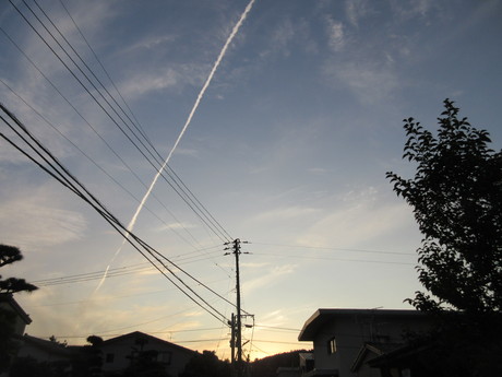 a0203003_1941143.jpg