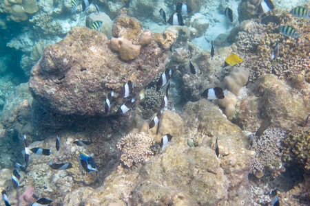 e0338303_14481515.jpg