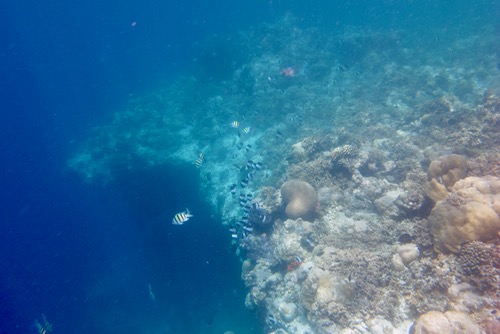 e0338303_14482482.jpg