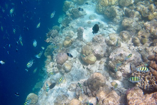 e0338303_14491226.jpg