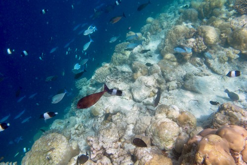 e0338303_145223.jpg