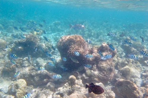 e0338303_14561077.jpg