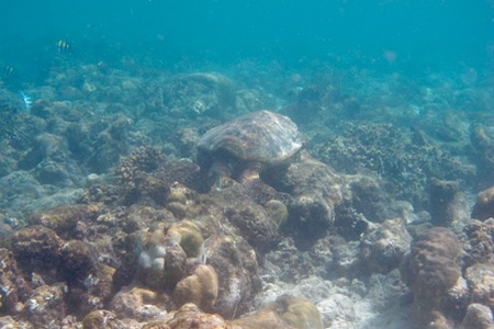 e0338303_14561590.jpg