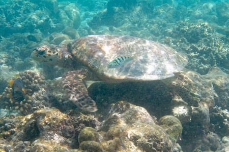 e0338303_14562790.jpg