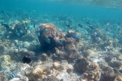 e0338303_1456521.jpg