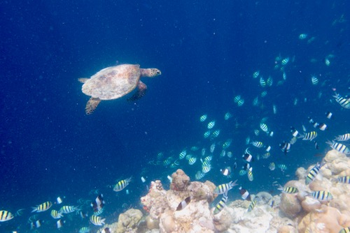 e0338303_14571713.jpg