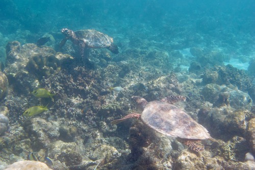 e0338303_153125.jpg