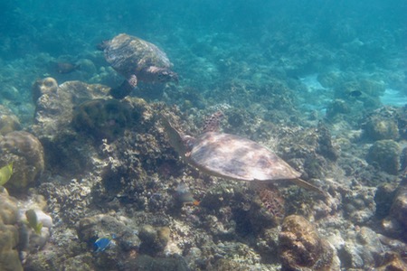 e0338303_1531726.jpg