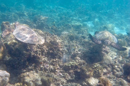 e0338303_1533243.jpg