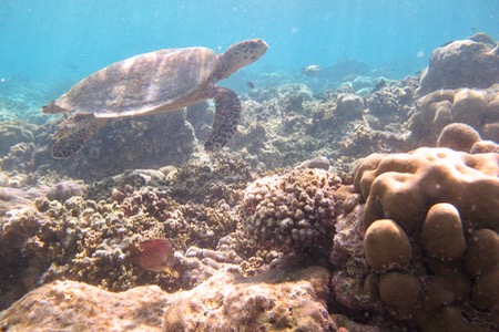 e0338303_1534515.jpg