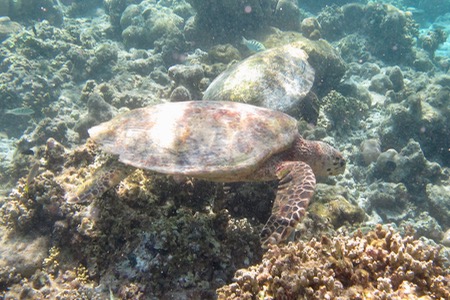 e0338303_1535488.jpg