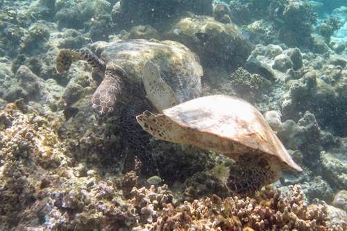 e0338303_15401.jpg