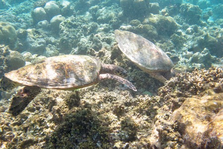 e0338303_1541418.jpg