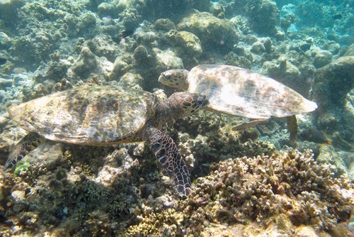 e0338303_15454.jpg