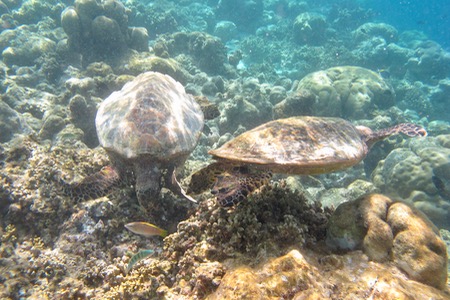 e0338303_154830.jpg