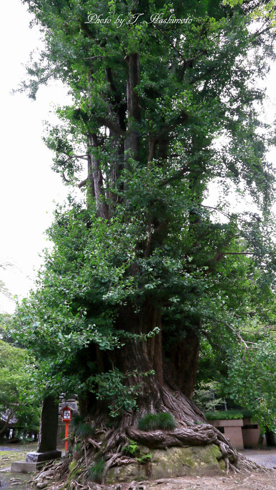d0334006_20014699.jpg