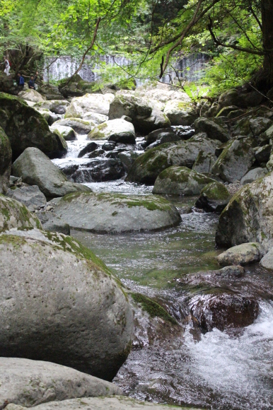 a0139007_18385956.jpg