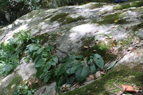 a0139007_18435339.jpg
