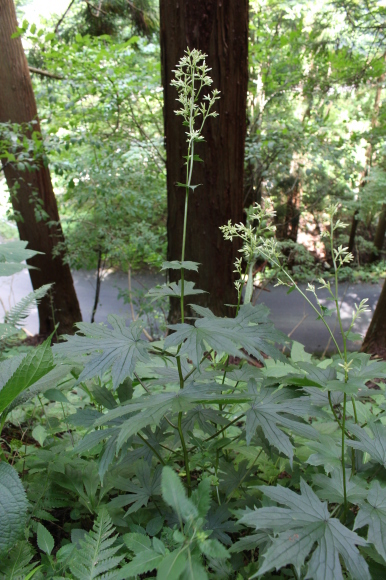 a0139007_18472468.jpg