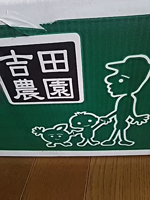 f0316507_21292452.jpg