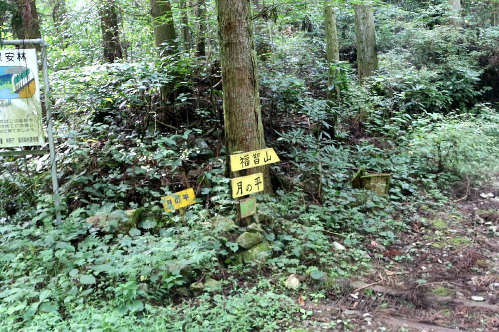 f0212511_23015157.jpg
